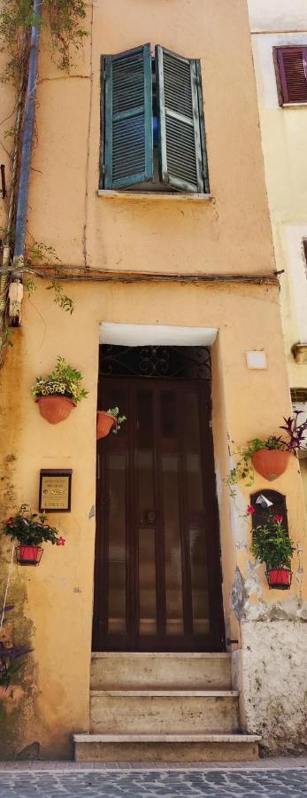 Affitto Turistico - La Terrazzina Apartment Monterotondo  Ngoại thất bức ảnh